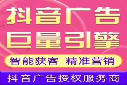 SEM代理操作技巧：成功案例揭秘
